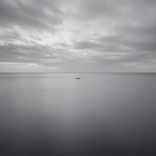 Monochromatic landscape symbolizing emotional pause.